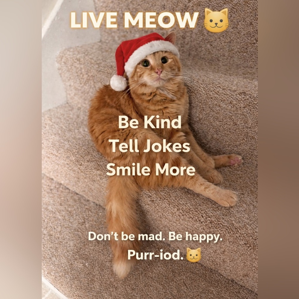 Live Show Flyer